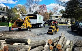 Best Commercial Tree Services  in Hollins, VA