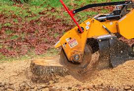 How Our Tree Care Process Works  in  Hollins, VA